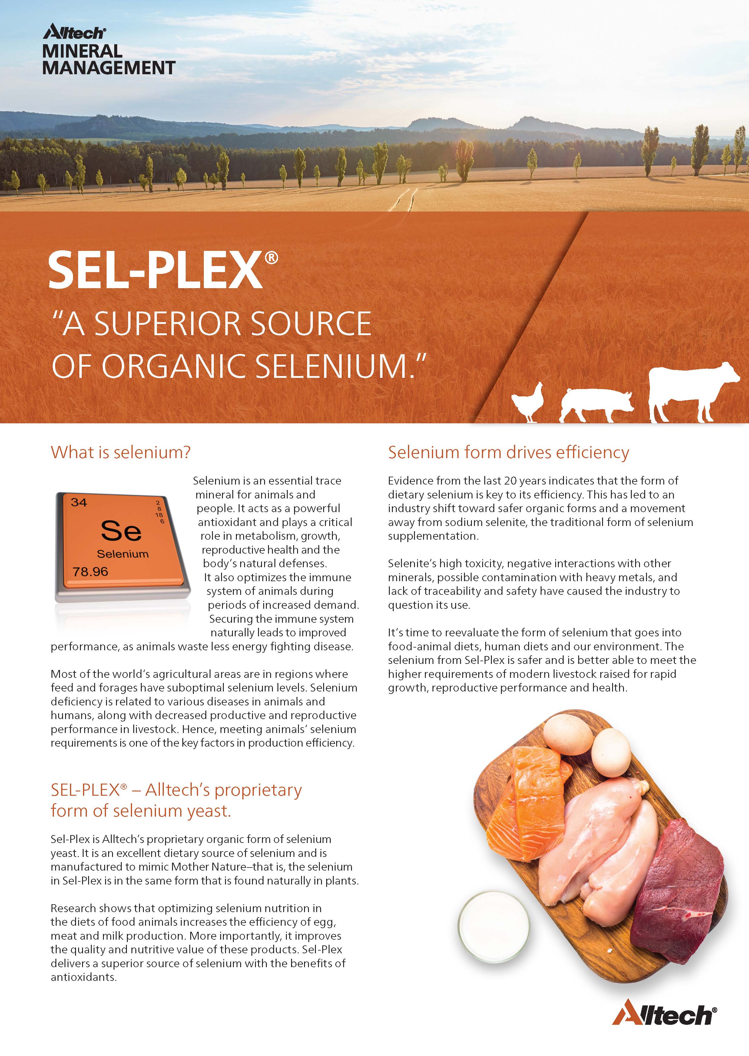 sel-plex all species flyer 2020 thumbnail image