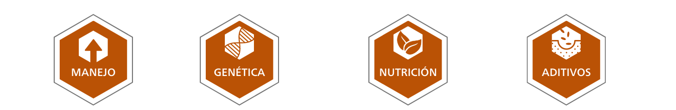 Graphic for Management, Genetics, Nutrition and Additives