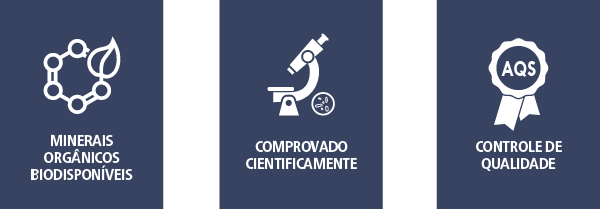 3Pilares[1].png