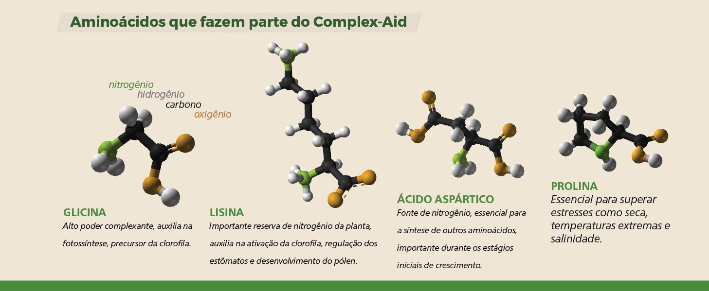 "glicina, lisina, ácido aspártico, prolina "