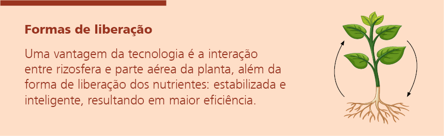 FormasDeLiberacao.png