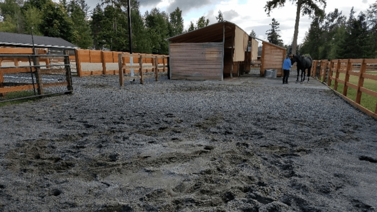 "horse sand pile"