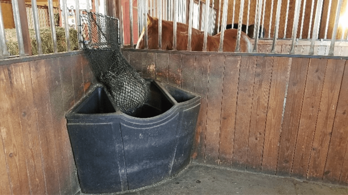 "horse feeder"