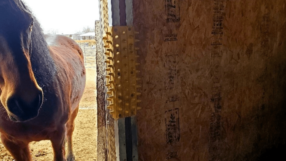 "horse scratching pad"