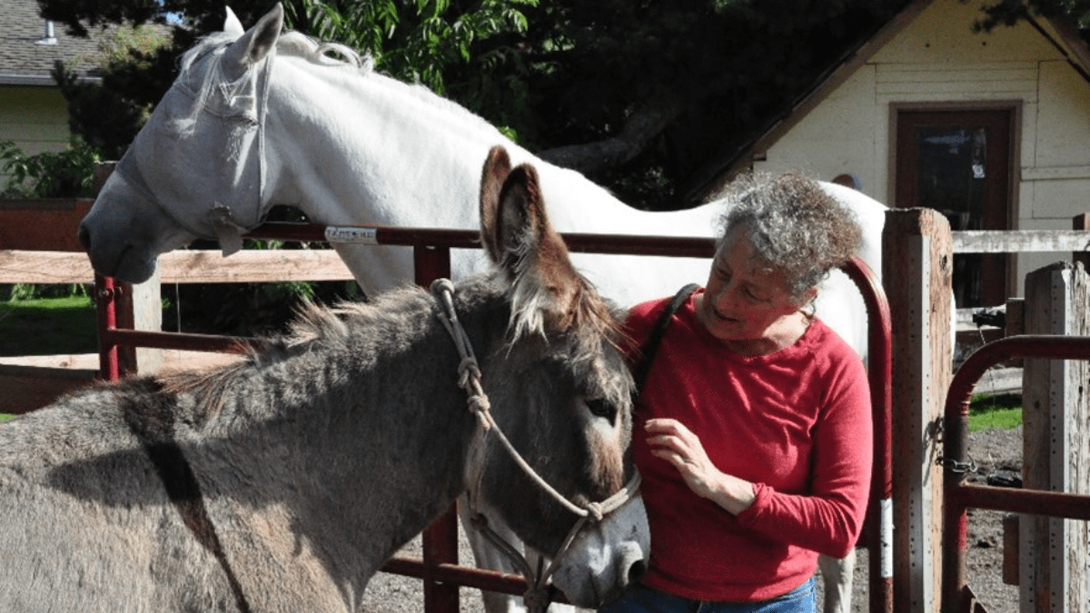 "horse friends"