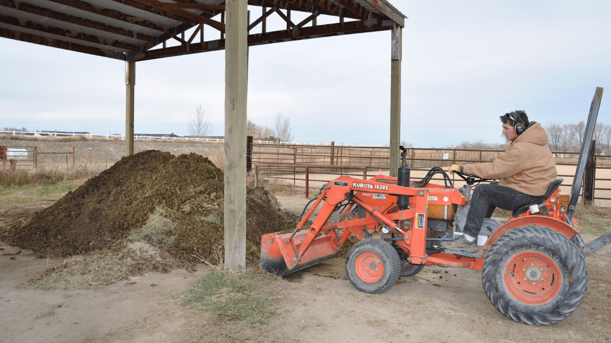 "Equine compost pile"