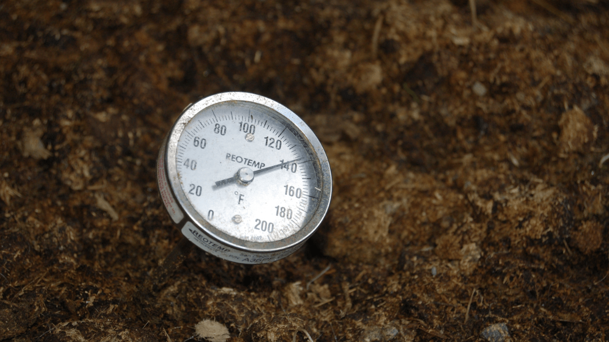 "Temperature of equine compost pile"