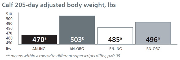 "Calf adjusted body weight organic trace minerals"