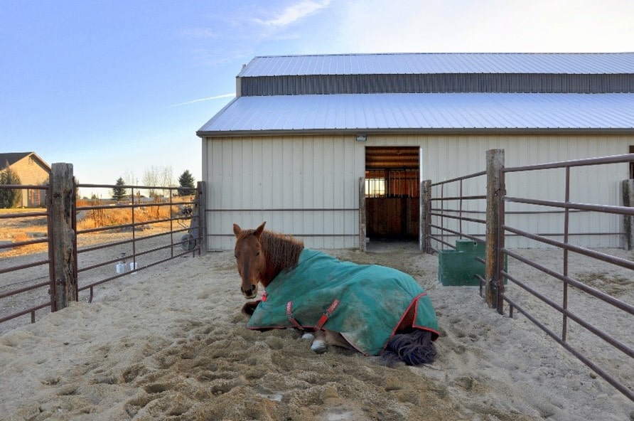 "Horse footing"