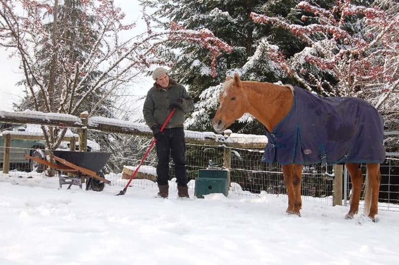 "Horse equipment for winter"