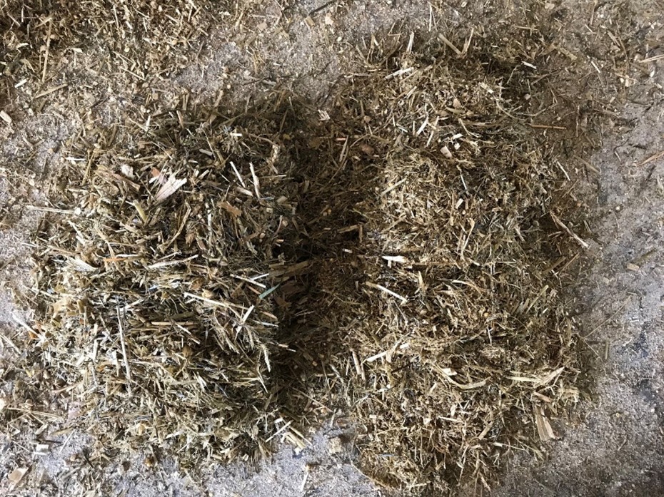 The difference in ration presentation from the start (pictured left) to the end (pictured right) of the feed trough/feed-out.