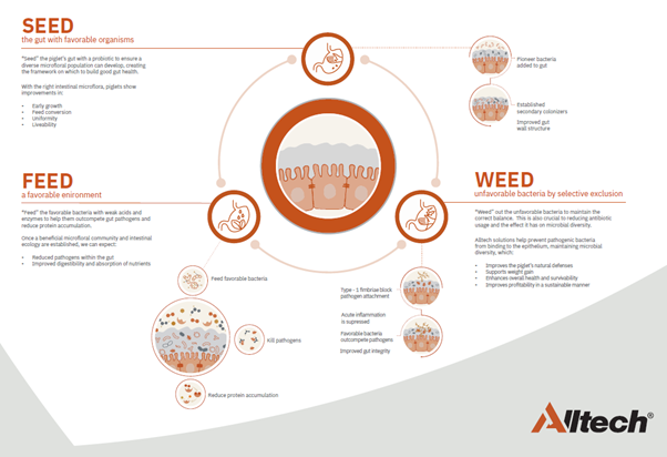 Seed Feed Weed