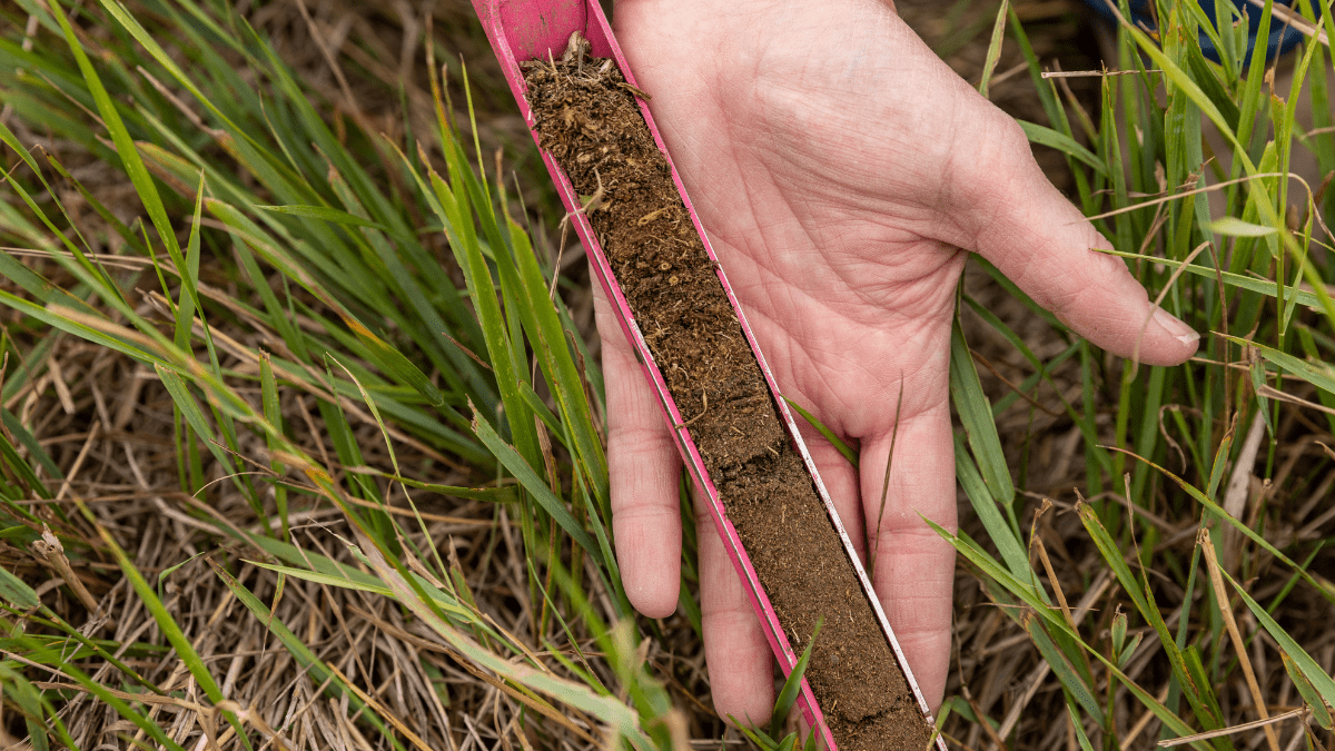 "Storage of carbon in soil"