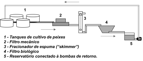 fig1.png