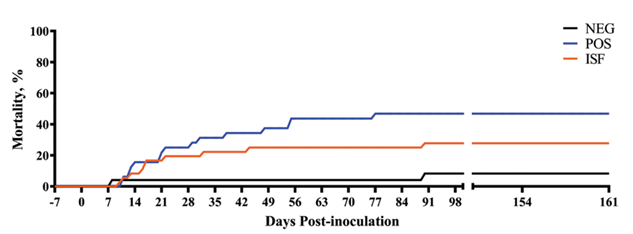 "mortality of PRRS-infected weaned pigs"