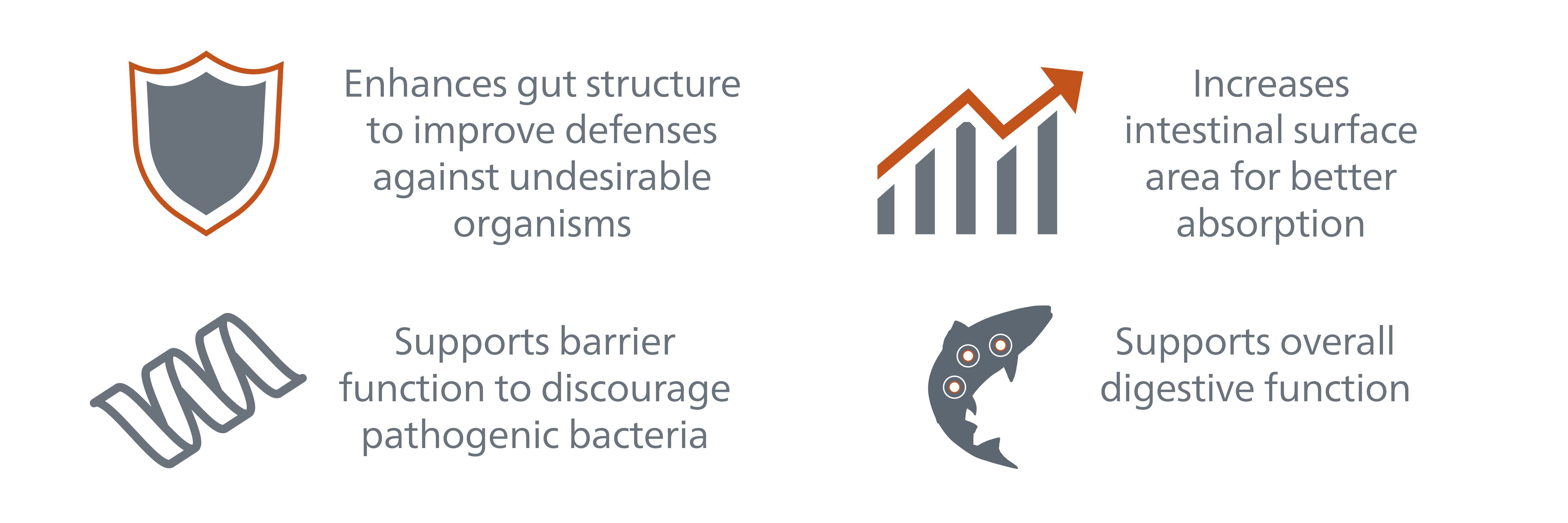 "Bio-Mos enhances gut structure in aqua, supports barrier function, increases intestinal surface area for fish, and supports overall digestive function of fish"