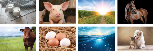 header_subscribe_page (1).png