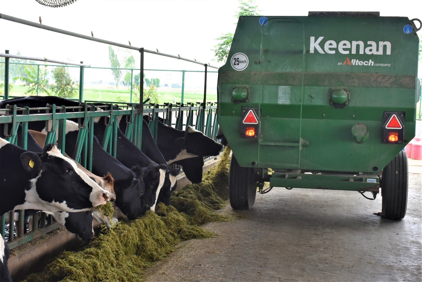 keenan india 2.jpg