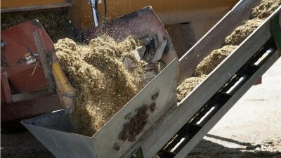 U.S. mycotoxin report: Here’s what you need to know