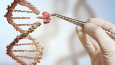 Dr. Karl Dawson: The biologist's toolbox