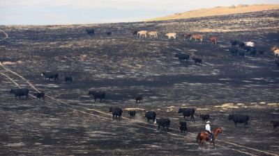 Nature’s fury: Natural disasters and agriculture in 2017
