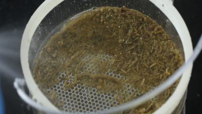 nasco bouses efficacité alimentaire 