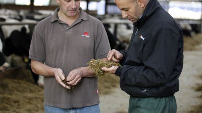 efficacité alimentaire ration fibres 