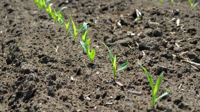 crop science 