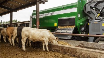 Take Control of Your Feed Costs