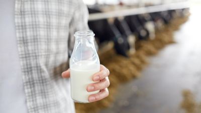 Does Milk Composition Matter and Can It Be Improved?