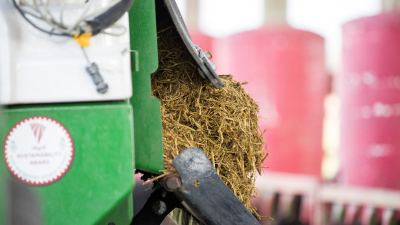 Grass Production and Feed Efficiency