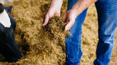 Take Control of Your Ration