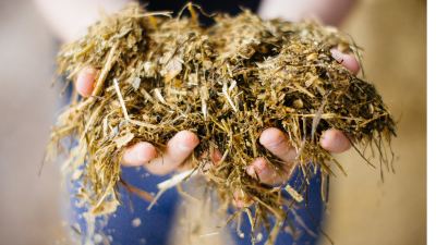 The Roll of Straw Diets