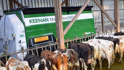 Reading Cow Manure: The 5-Point Scale