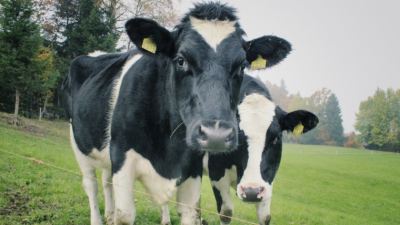 A Simple Guide to Buffer Feeding