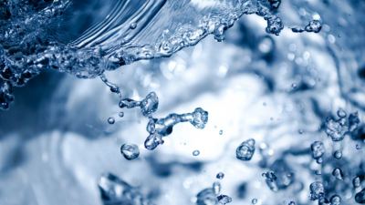 The Importance of Water for Dairy Herds