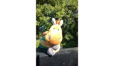 Stuffed animal. 