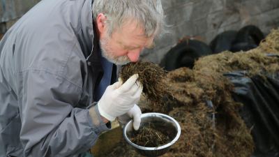 Dr David Davies, Silage Solutions