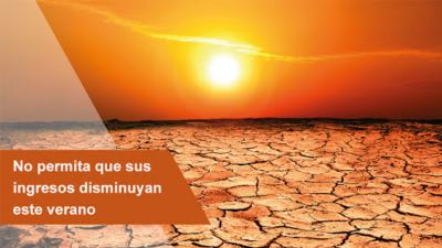 Medidas sencillas para reducir el estrés por calor en vacuno de leche
