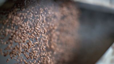 Alltech Coppens feed