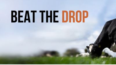 BEAT THE DROP