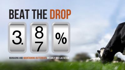 BEAT THE DROP: Managing and maintaining butterfats during early-mid lactation.