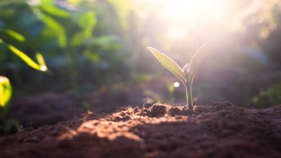 Apesar de sustentar a vida na terra, entretanto, em diversos locais o solo se encontra em condições de uso inadequados quanto à sua conservação. 
