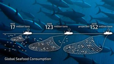 Overfishing