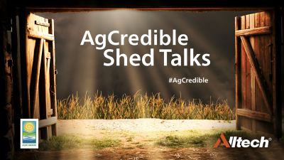 Online Shed Talks