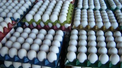 Egg crates