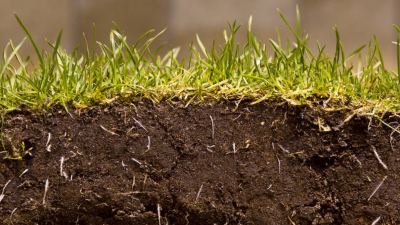 soil