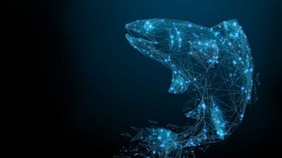 Digital farming means to go beyond the mere presence and availability of data and create actionable intelligence and meaningful added value from such data.