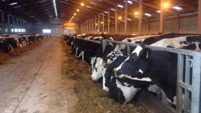 Blaengelli farm