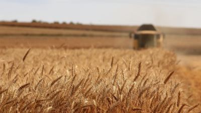Alltech's EU Ernteanalyse 2020